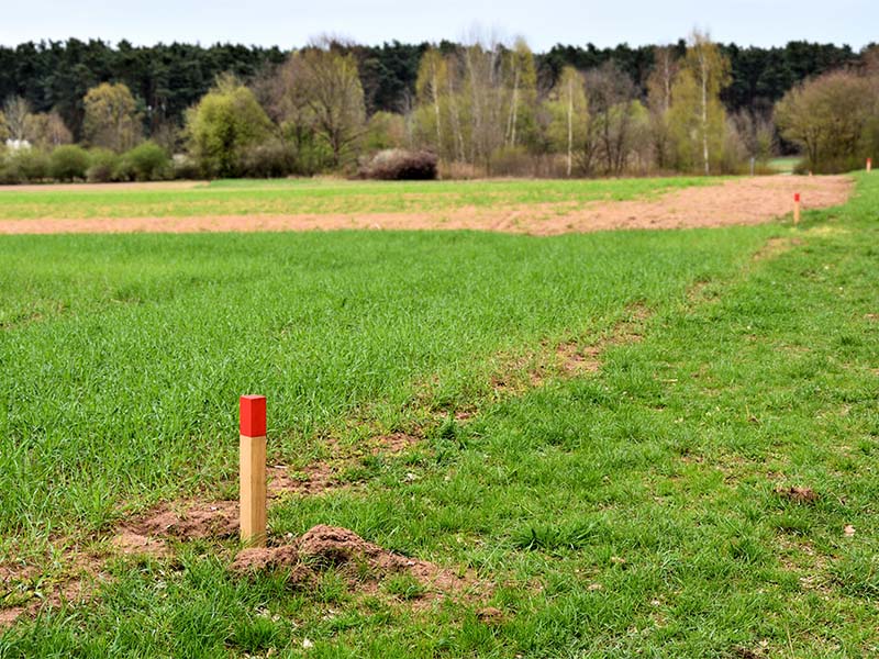 Ein mit Pfahl markierter Grenzverlauf bei der Grundstücksvermessung in Flensburg