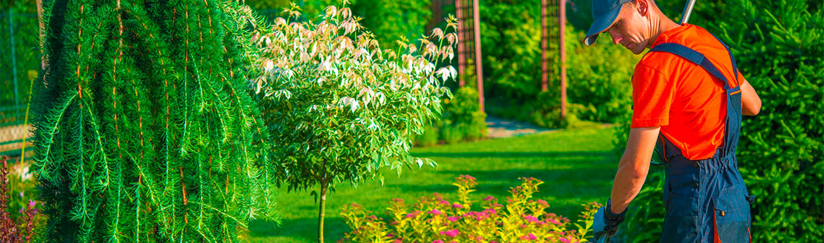 Gartenarbeiten in Kappeln Flensburg