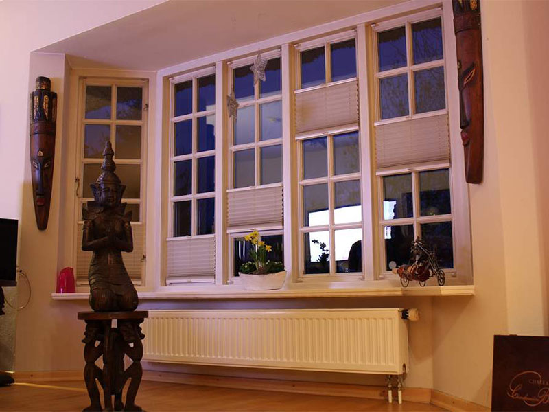tksb-sonnenschutz-durch-fenster-plissees-in-flensburg