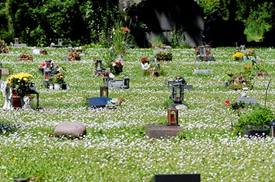 Gräber auf einer Blumenwiese, Beran